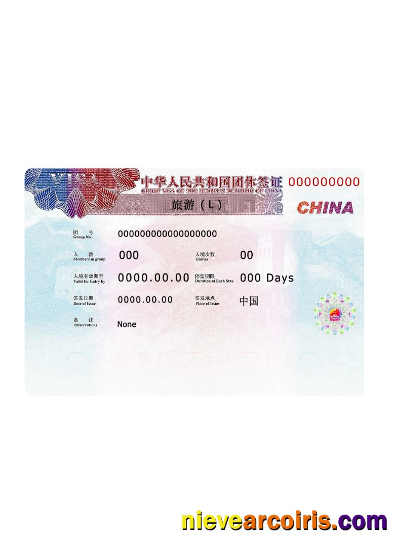 China visa 2019 present